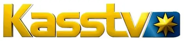 Paloalto Networks Logo