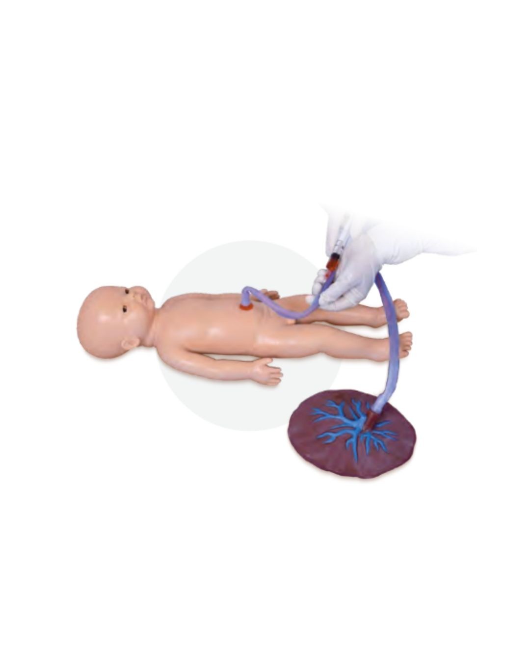 Umbilical Cord Nursing Simulator(Male)