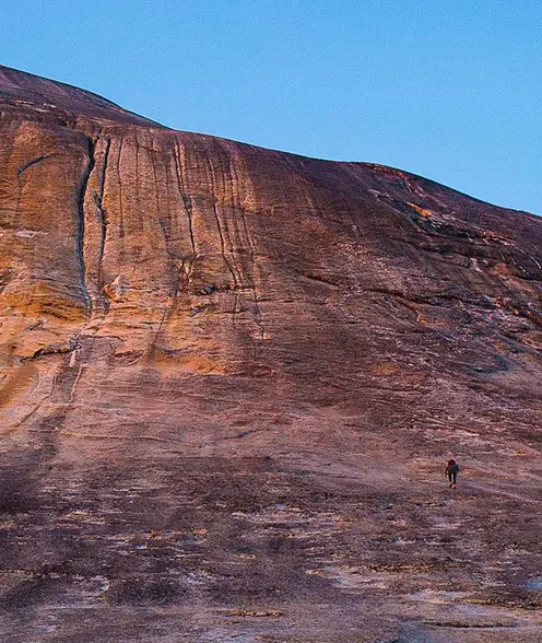 Our FinTech solutions advisor demonstrating tenacity