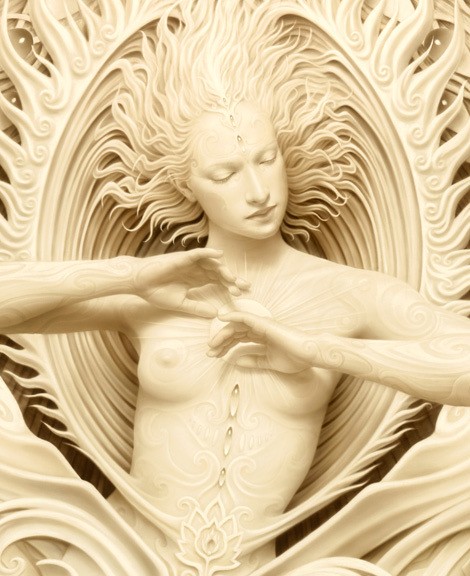 pink flowers on body of water