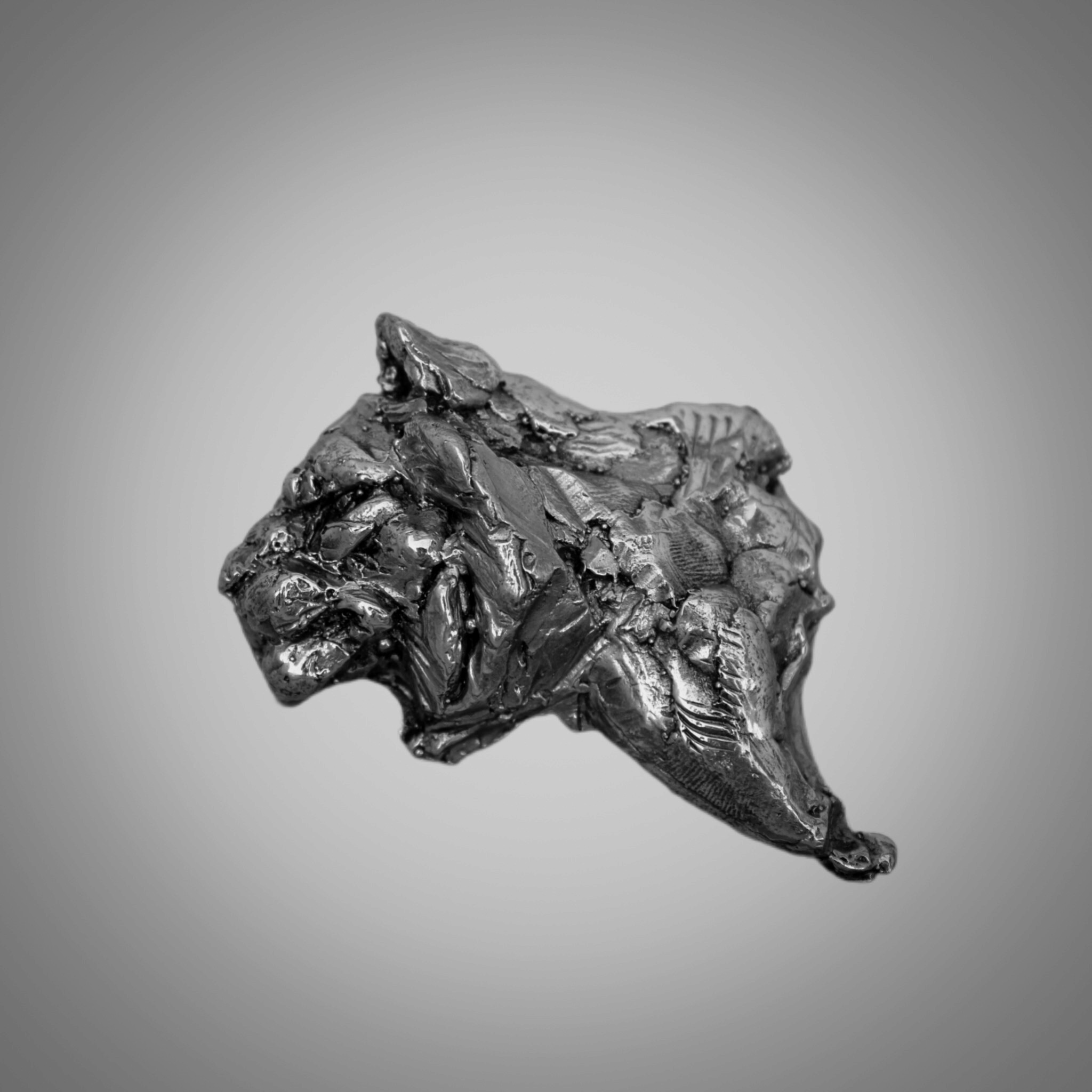 Handcrafted impressionistic Bronze Tiger Brooch wearable sculpture from wearables collection by sculptor Priyam Tiwari