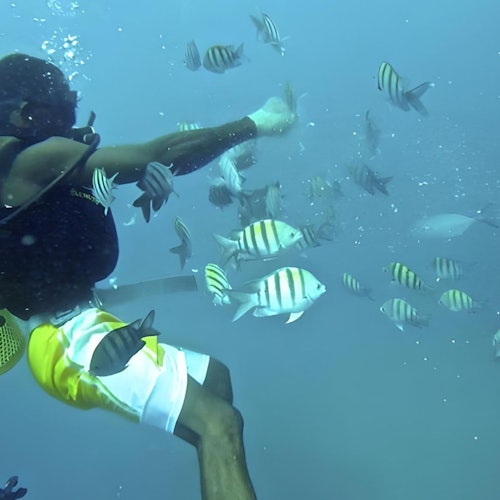 Isla Saona: Boletos para el Tour en Semi-Submarino Clásico en Punta Cana