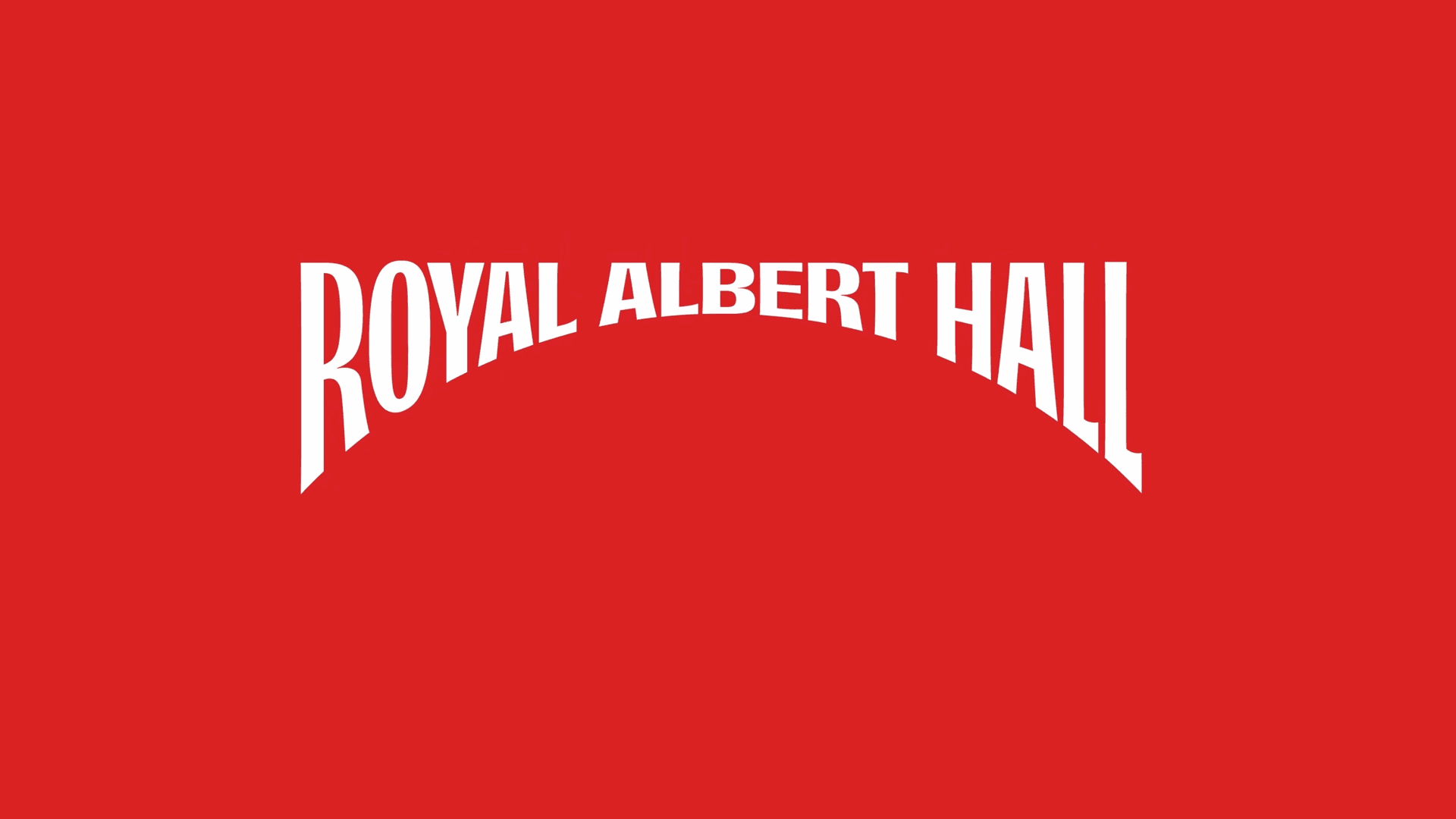 hand holding meadow flowers on a dark green background