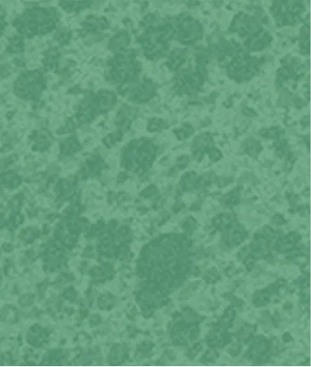 Patina Boston Oberfläche