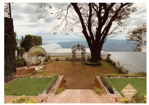 Love Tree — real celebration at Lazuri Tagaytay