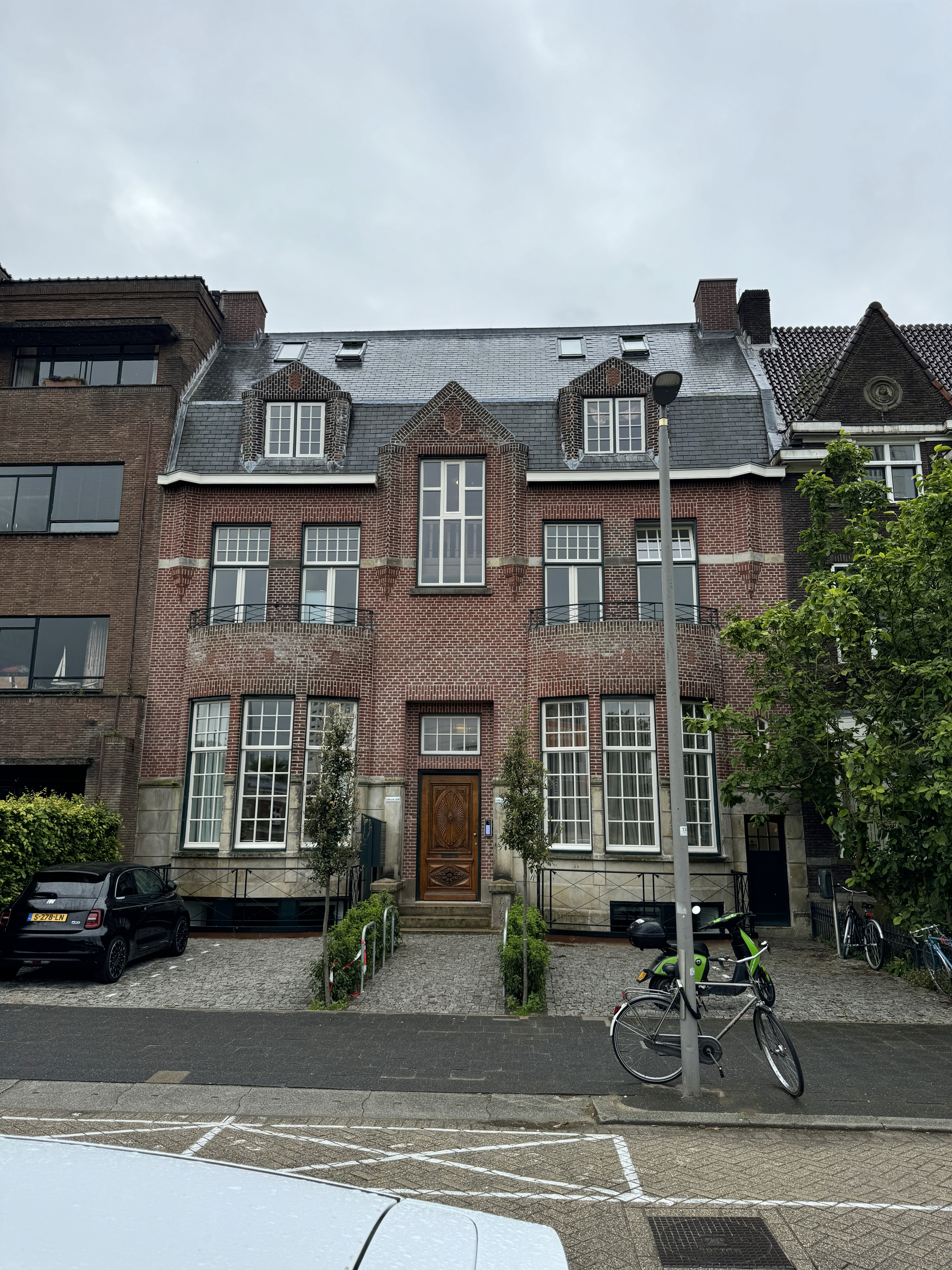 planters with plant near area rug inside room