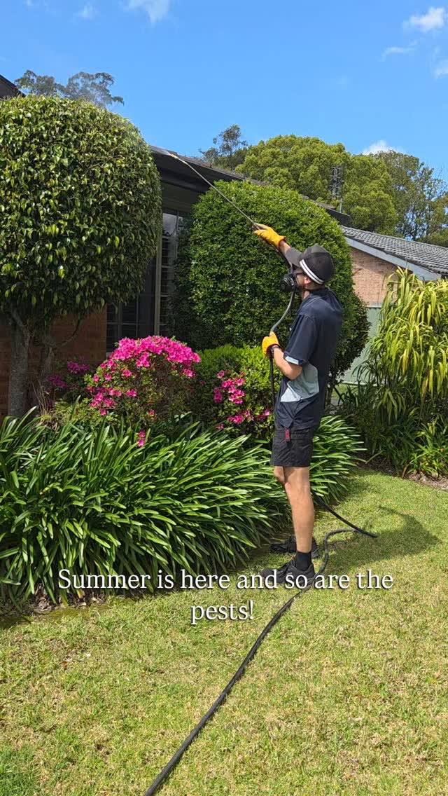 Killemquick pest control technician on the job, Central Coast NSW