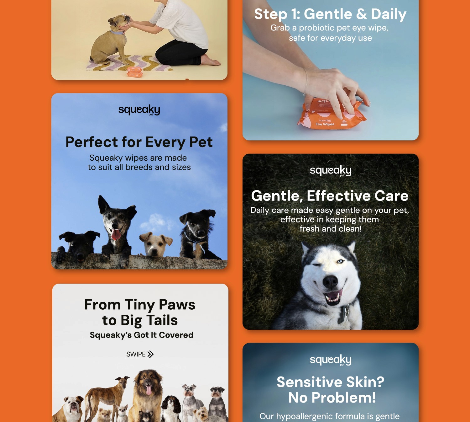 Squeaky social posts Happy Hound