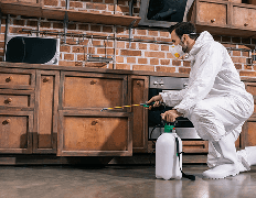 Residential Pest Control illustration