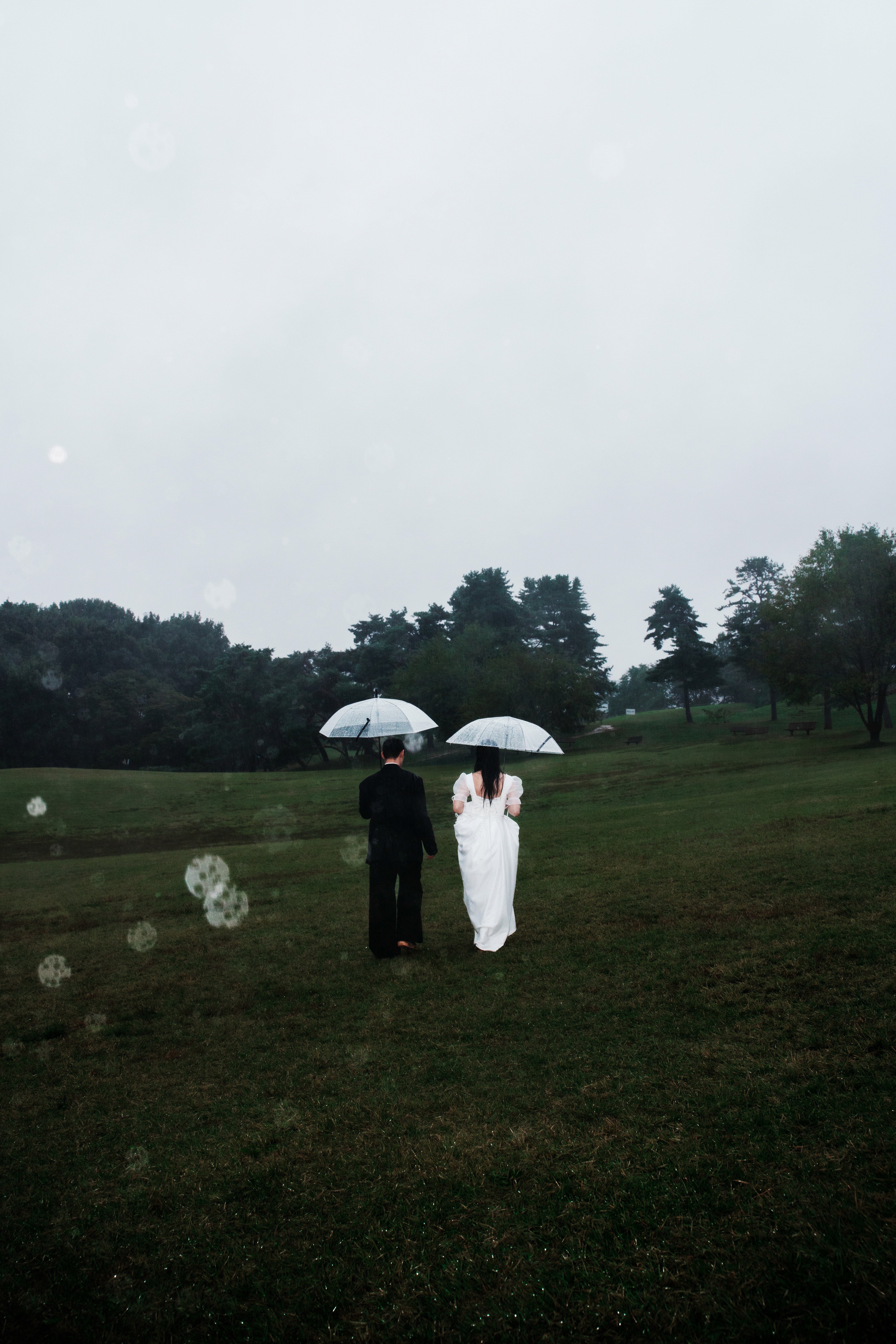 Photograph title Copy Copy Copy Copy Copy Copy Copy Copy Copy Copy