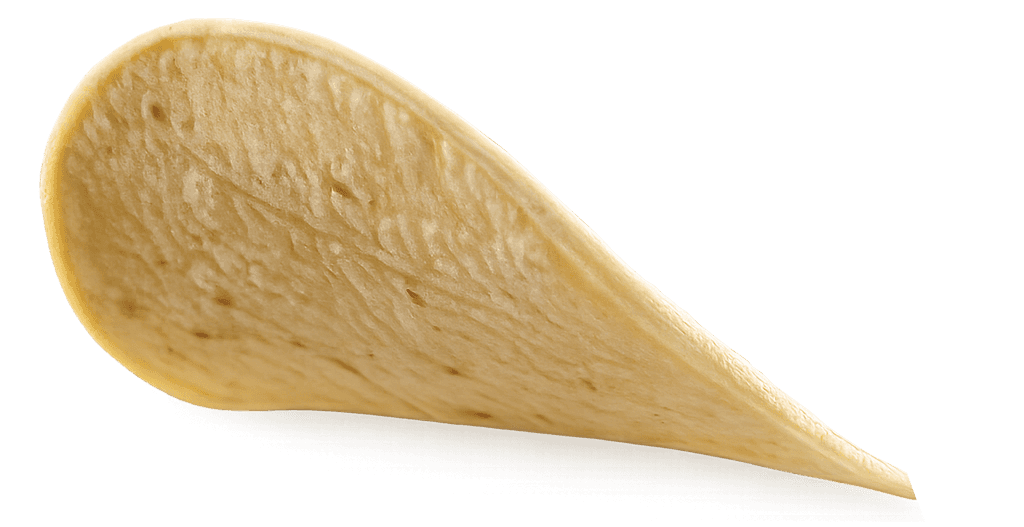 Buger Image