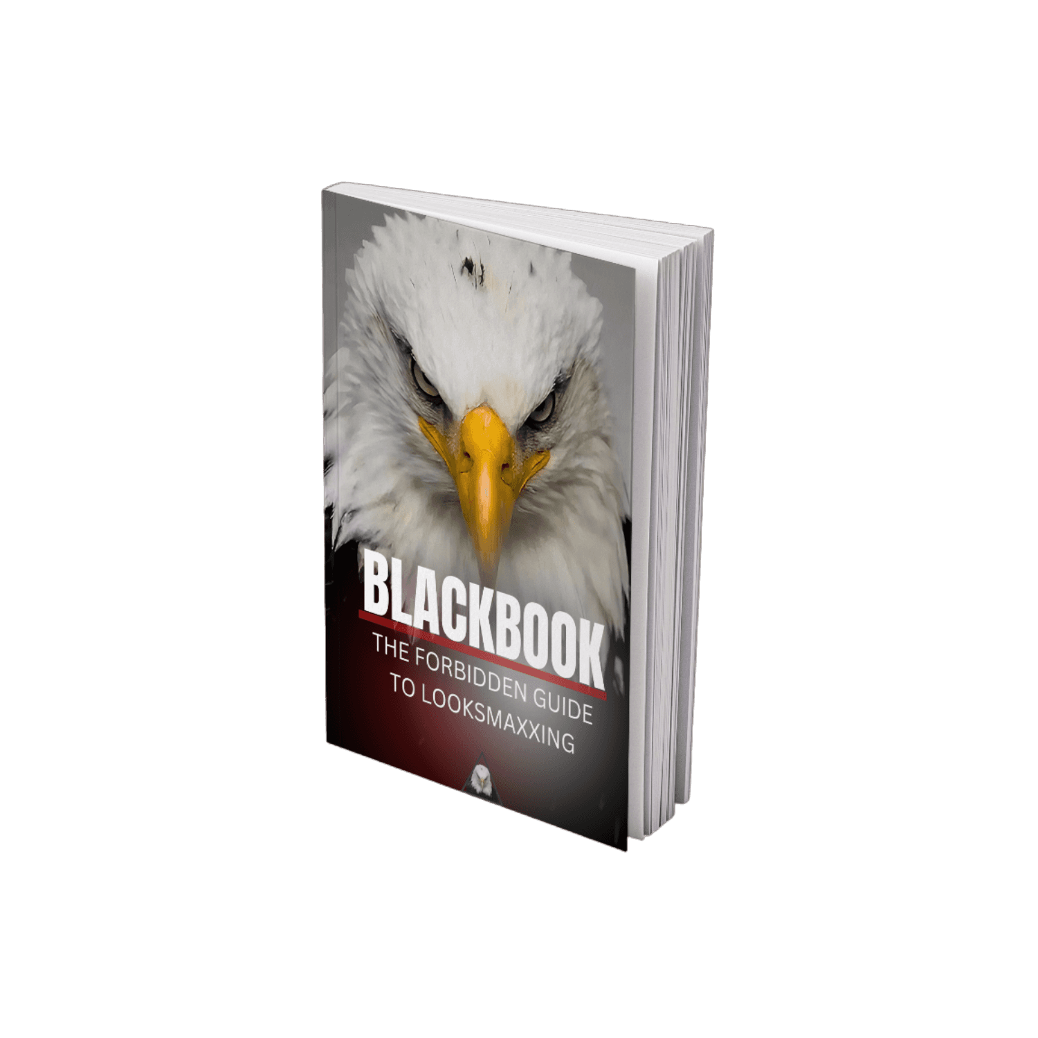 Cover of the Blackbook looksmaxxing ebook