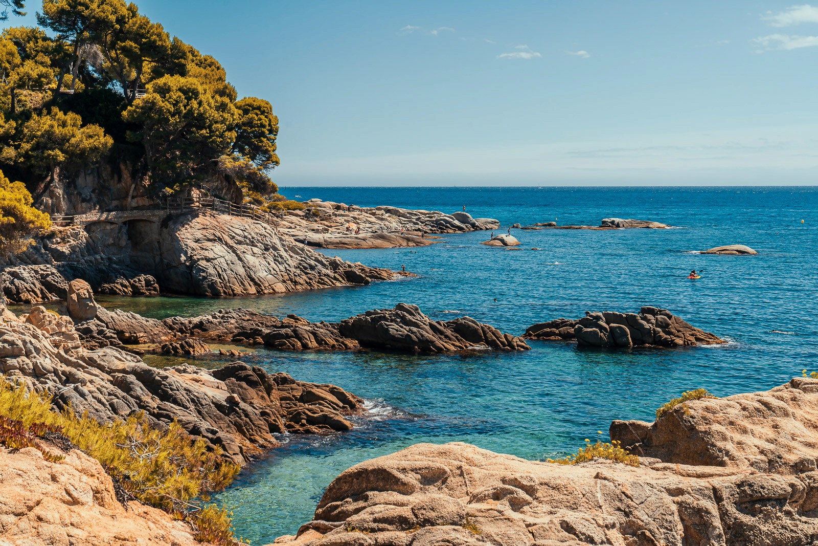 person holding green glass bottle