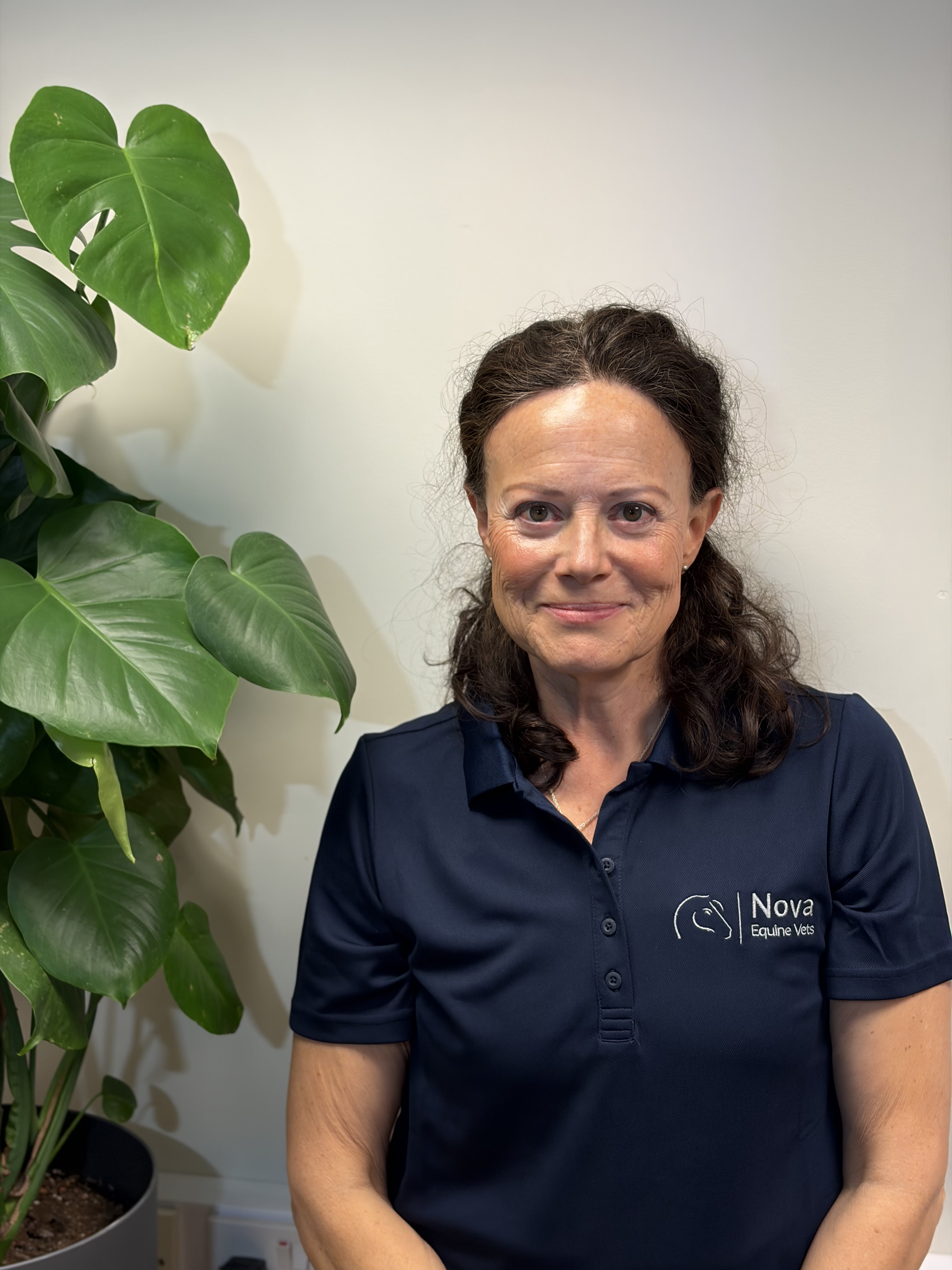 brown horse eating grass during cloudy sky