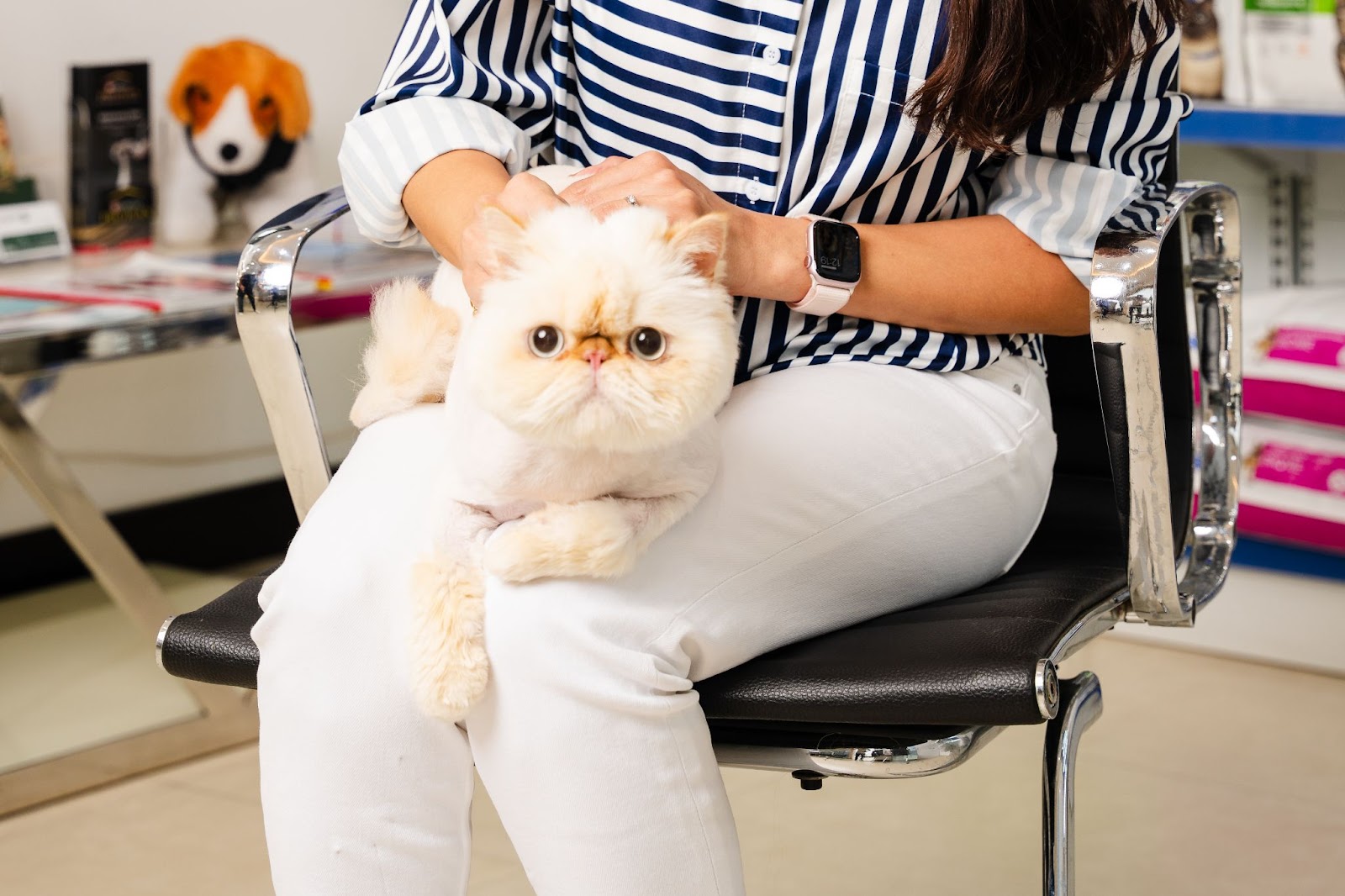 Treatment Options for Hair Loss in Cats