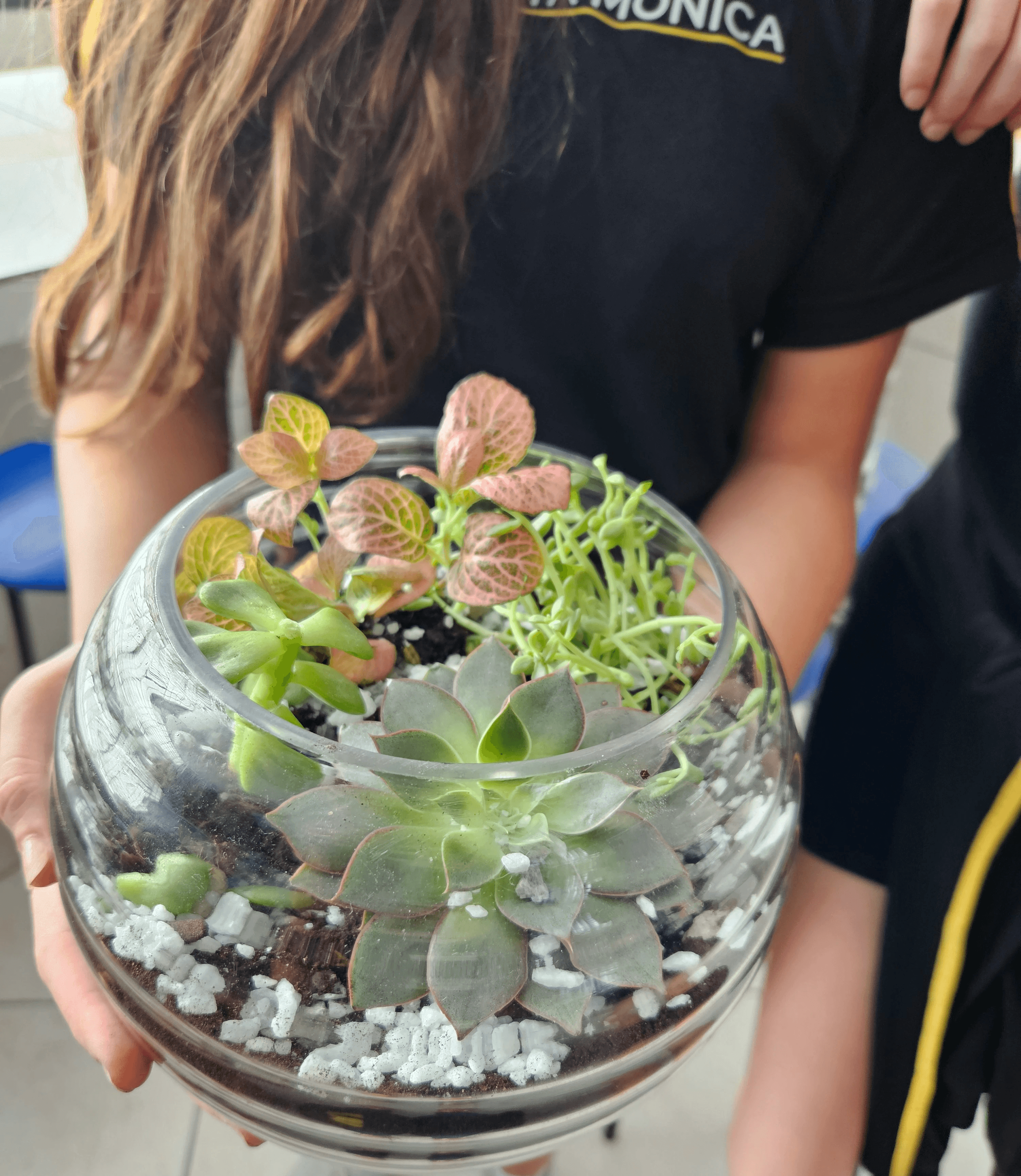 aula de ecologia prática