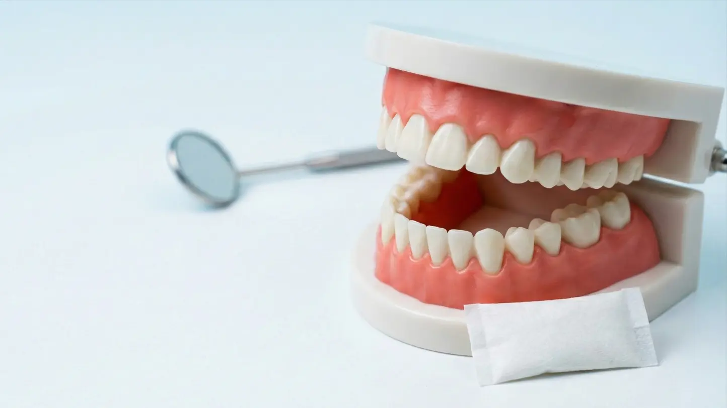 Fogászati állkapocsmodell és nikotinpárna a fogíny és a szájnyálkahártya irritációjának szemléltetésére.