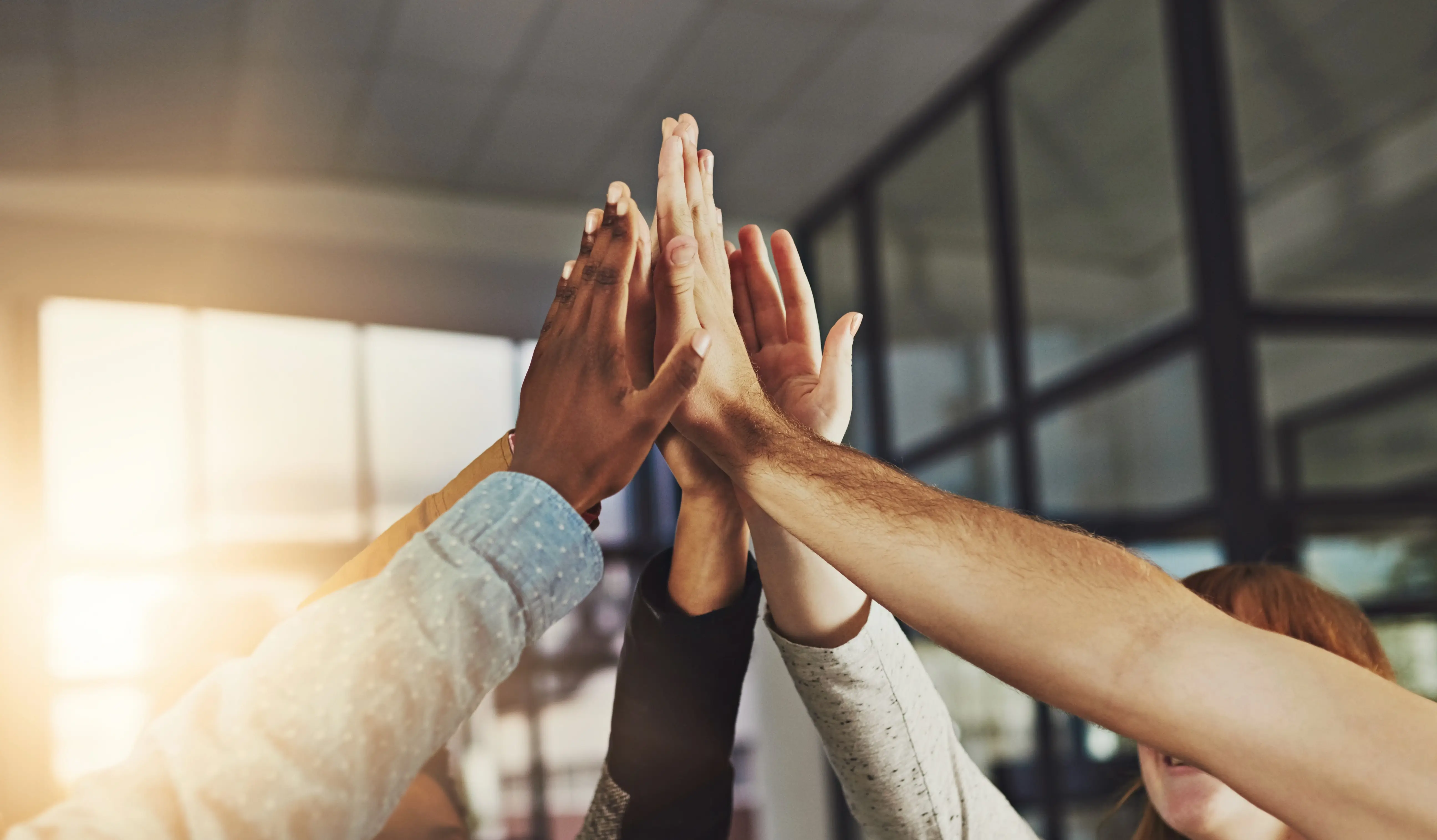 Group of people working happy