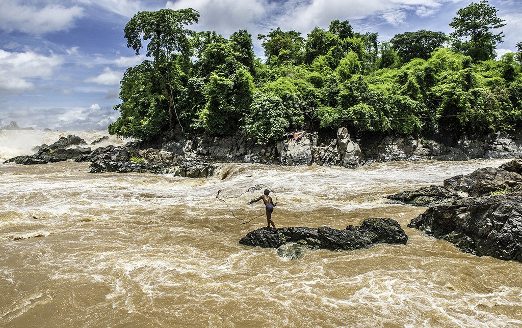 A person in a white pinstripe suit sitting in a vibrant field of orange flowers under a bright blue sky.