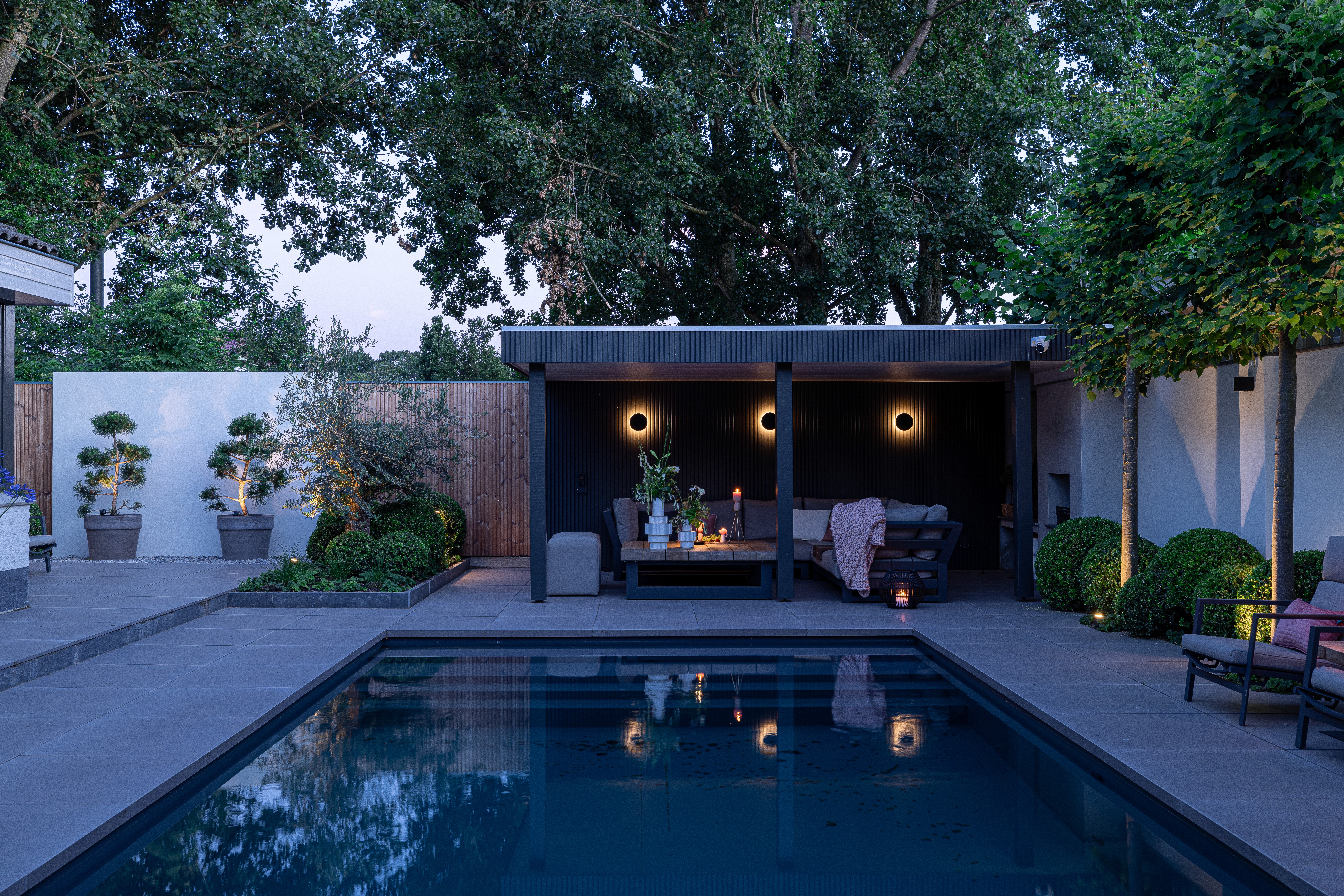 Here comes the alt text