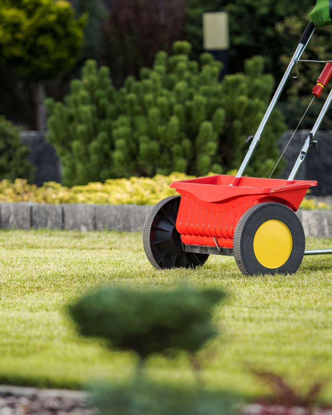 How Can We Help With Residential Lawn Seeding