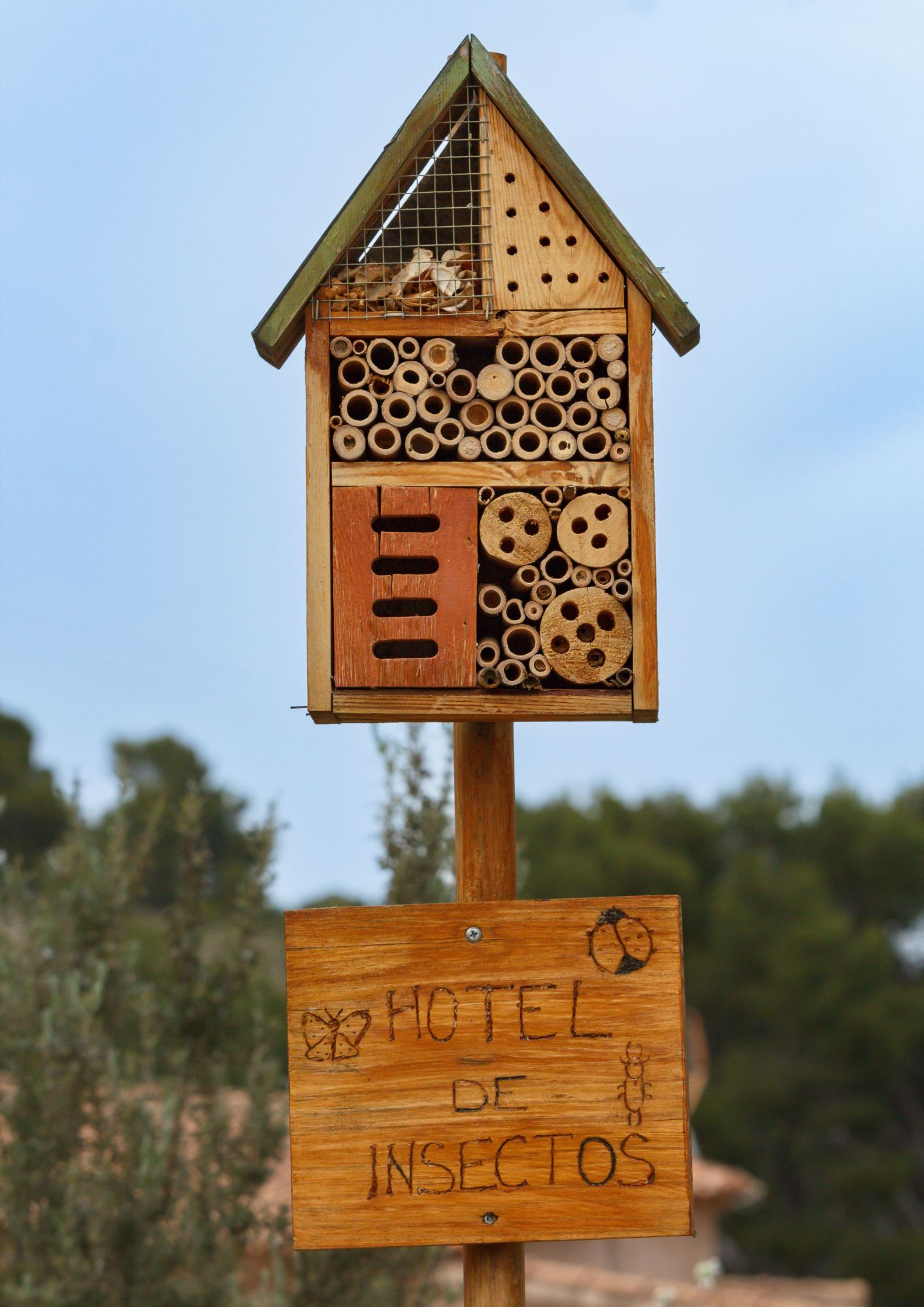 Wild animals visiting a natural garden