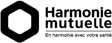Theo Logo