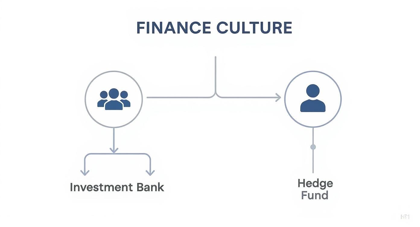 Infographic about hedge fund vs investment bank