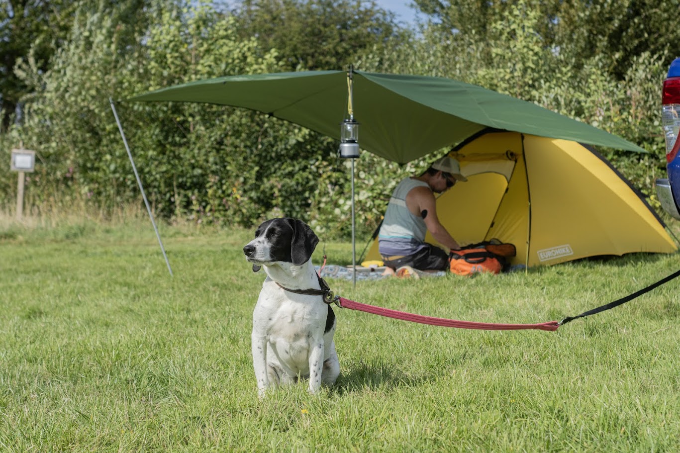 Adult camping