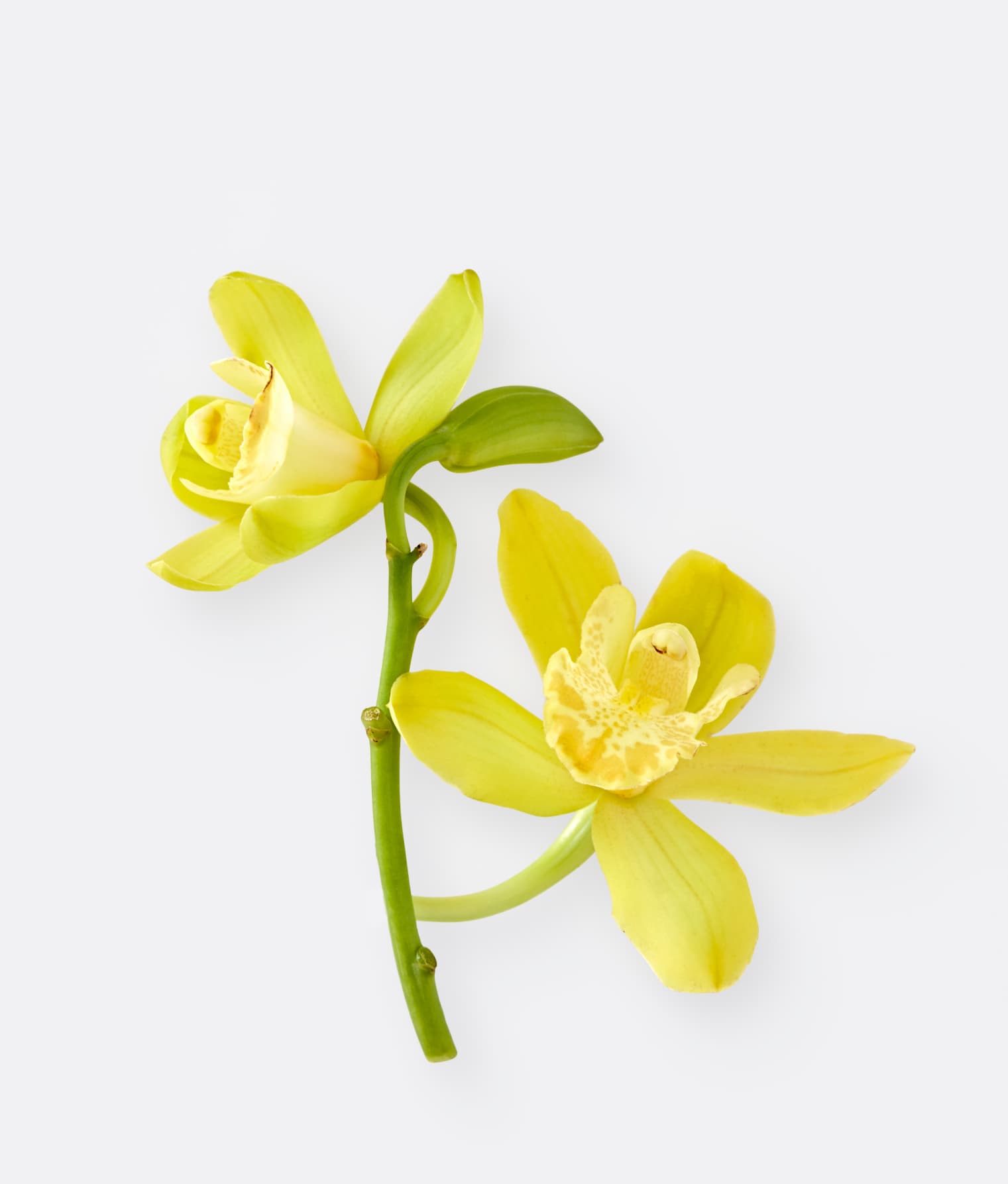 Streetside billboard with flyposters of the Batch.Works brand and illustrations