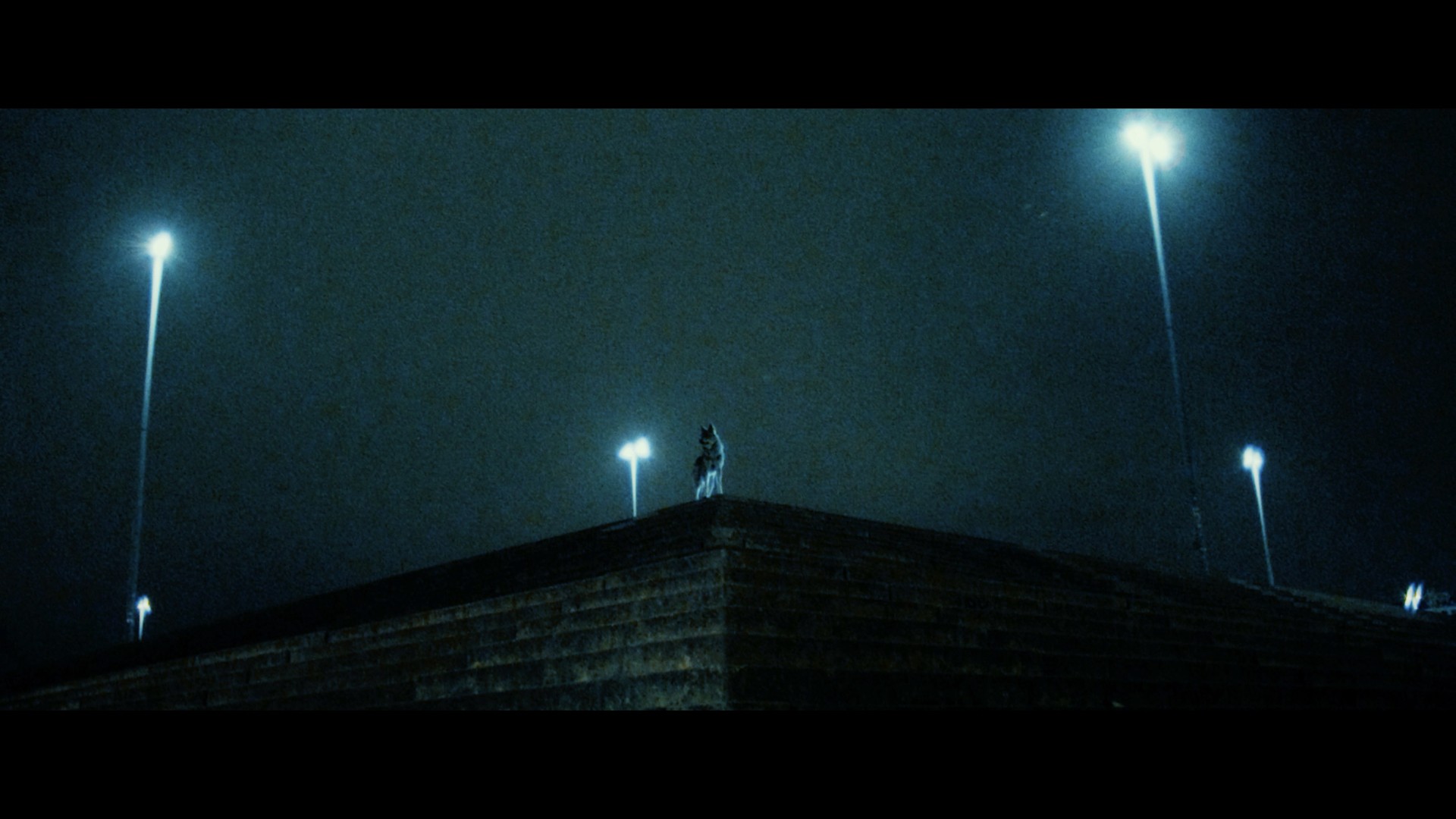 Music video production Berlin