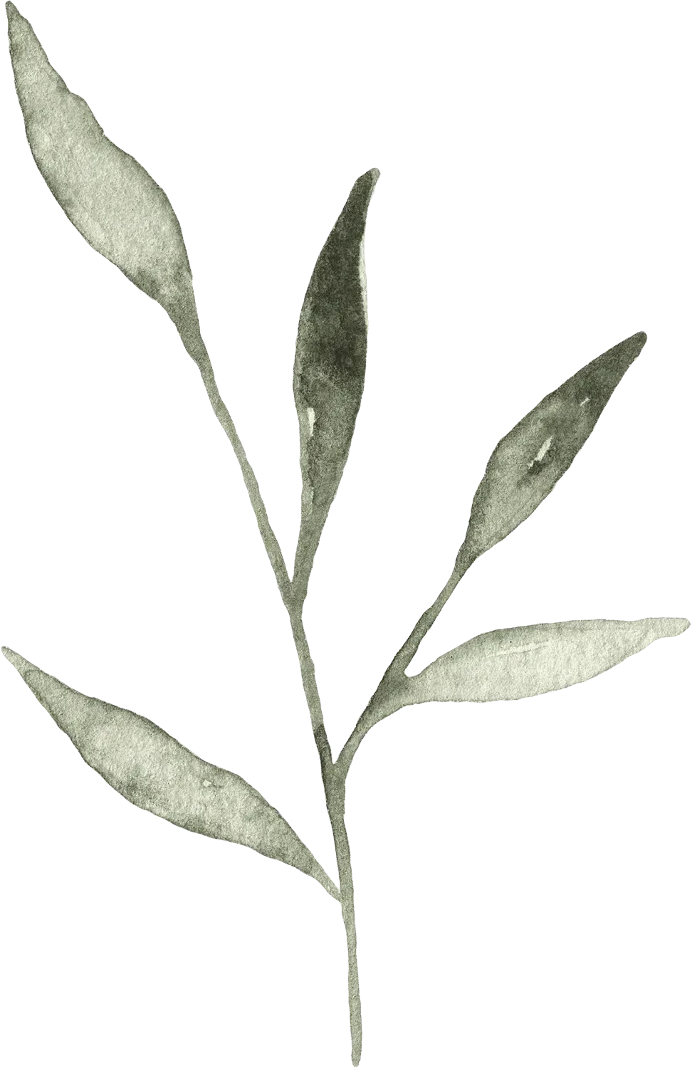 Watercolor twig_03