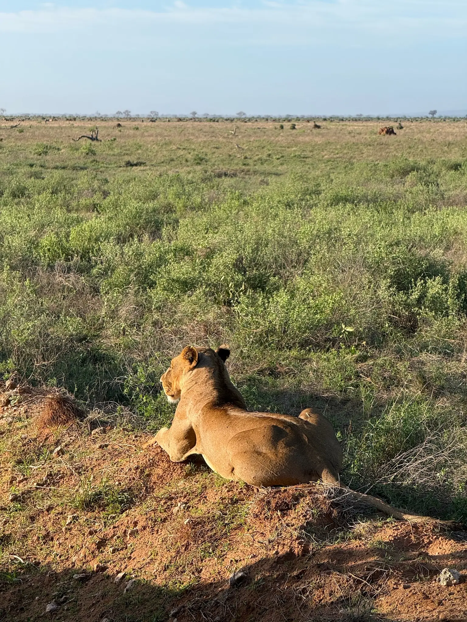Usahili Tour in Kenya