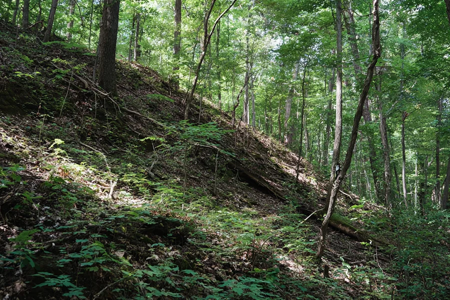 woman holding a phone and man looking at the phone. both are smiling