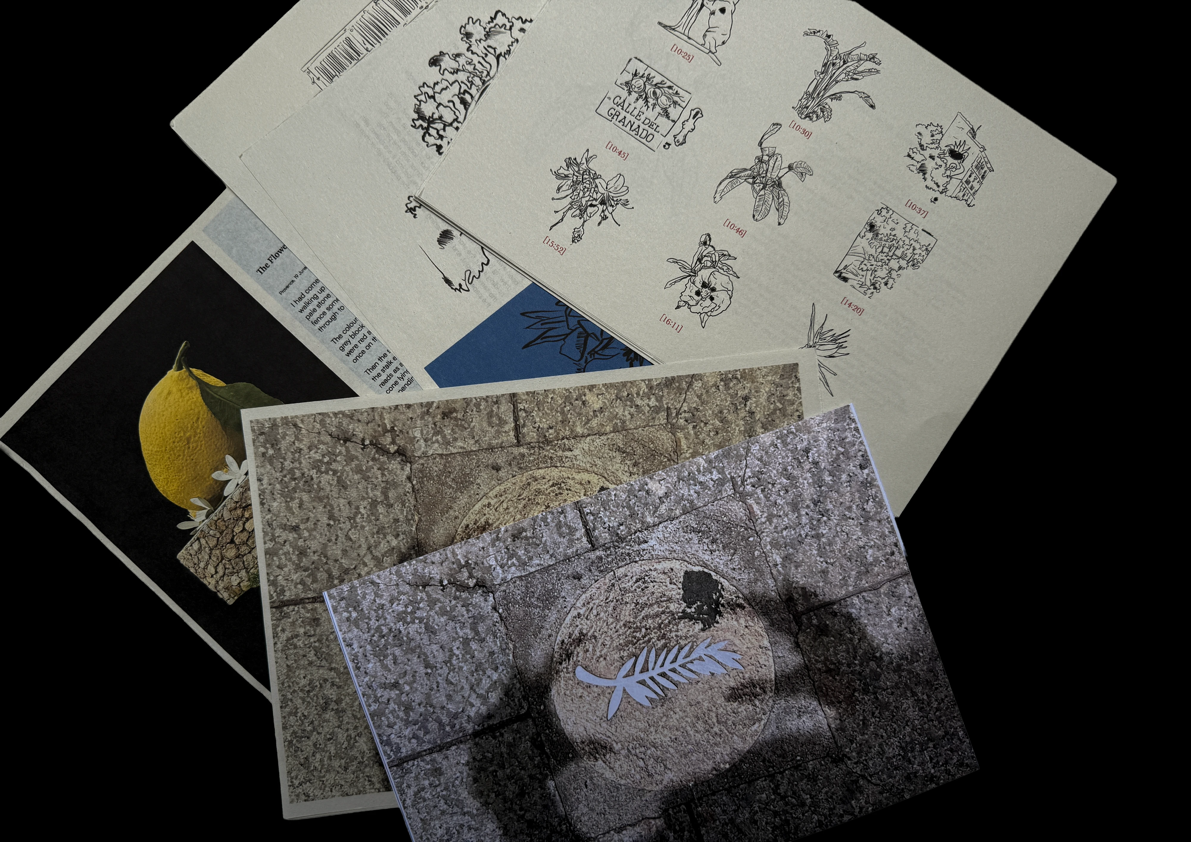 A close-up of two covers overlapping, showing red and blue title type and a black ink drawing on flecked uncoated paper.