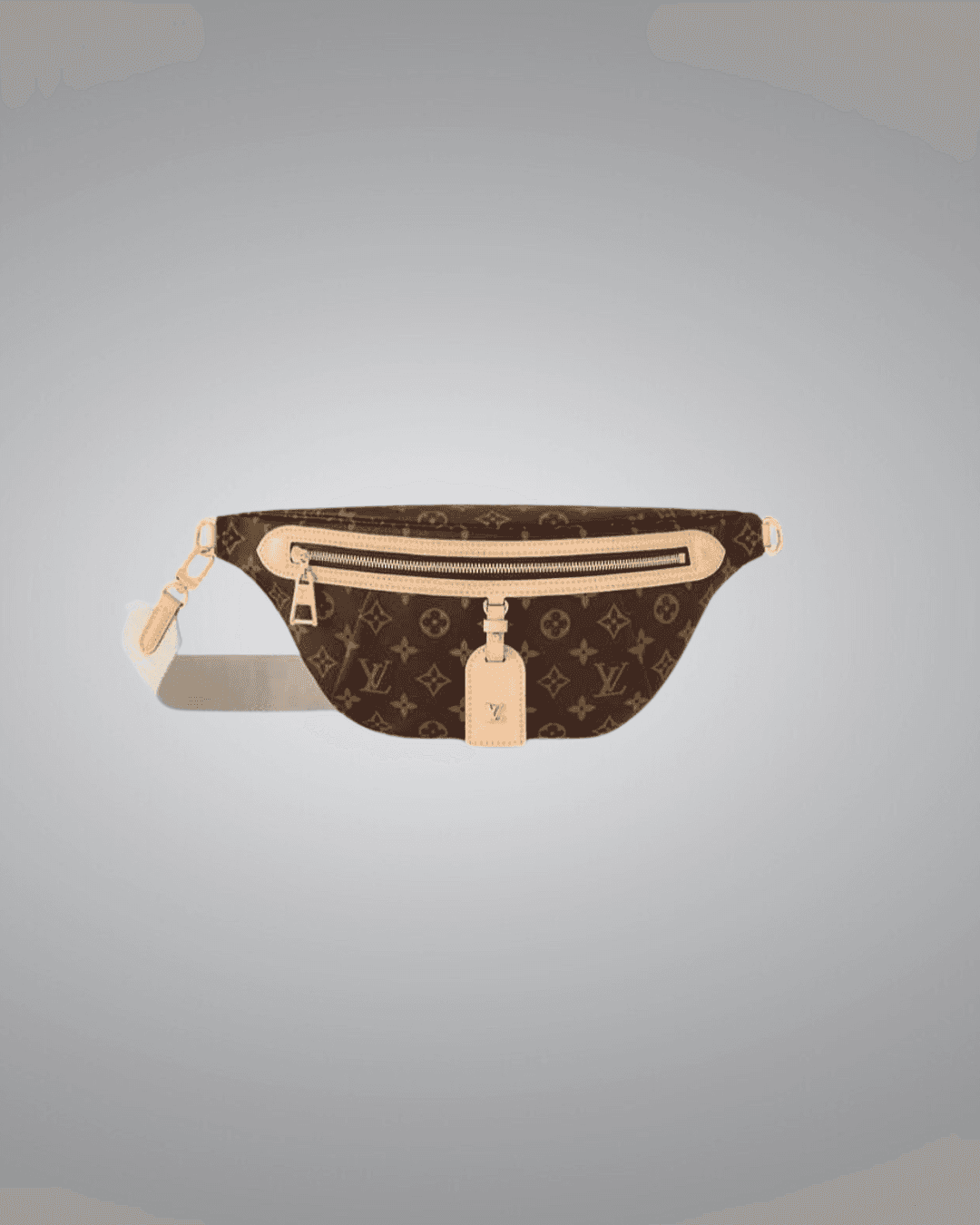 LV Bumbag in Monogram Coated Canvas