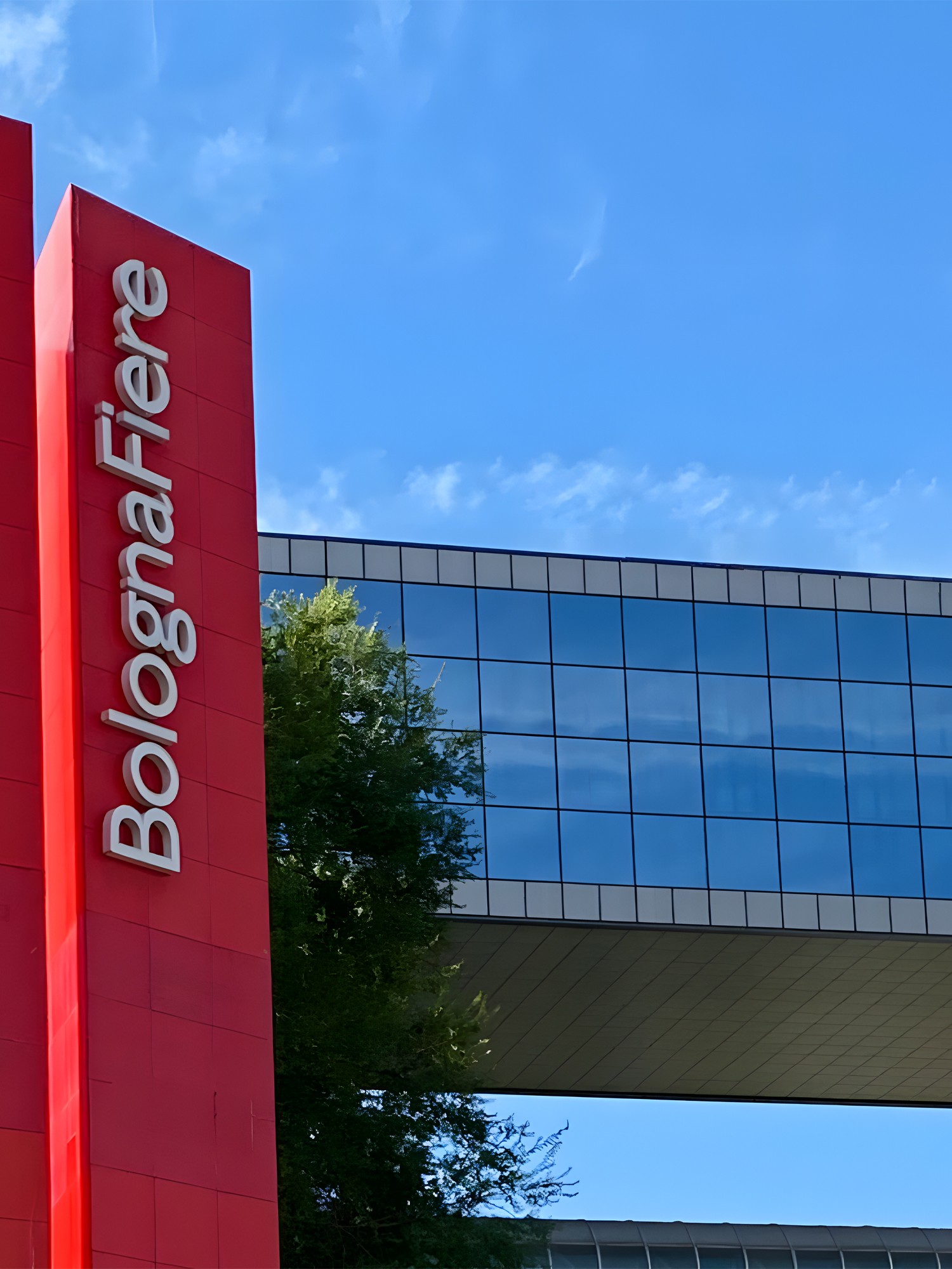 kids lying on a glass land and smiling