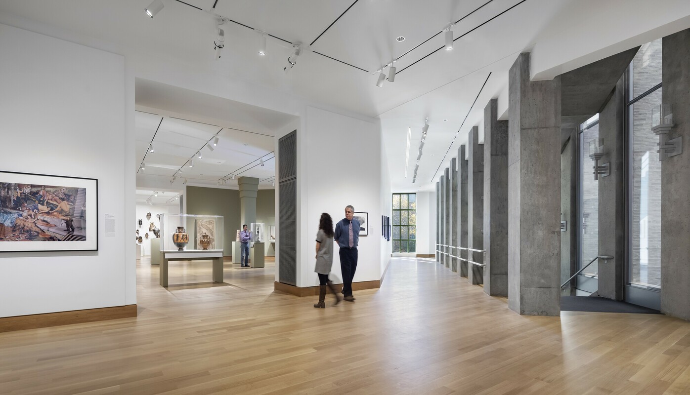 A green butterfly rests on a flower.