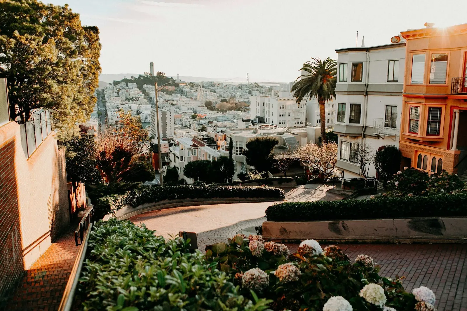Winding street in San Francisco overlooking the city, with homes and greenery in the foreground.
