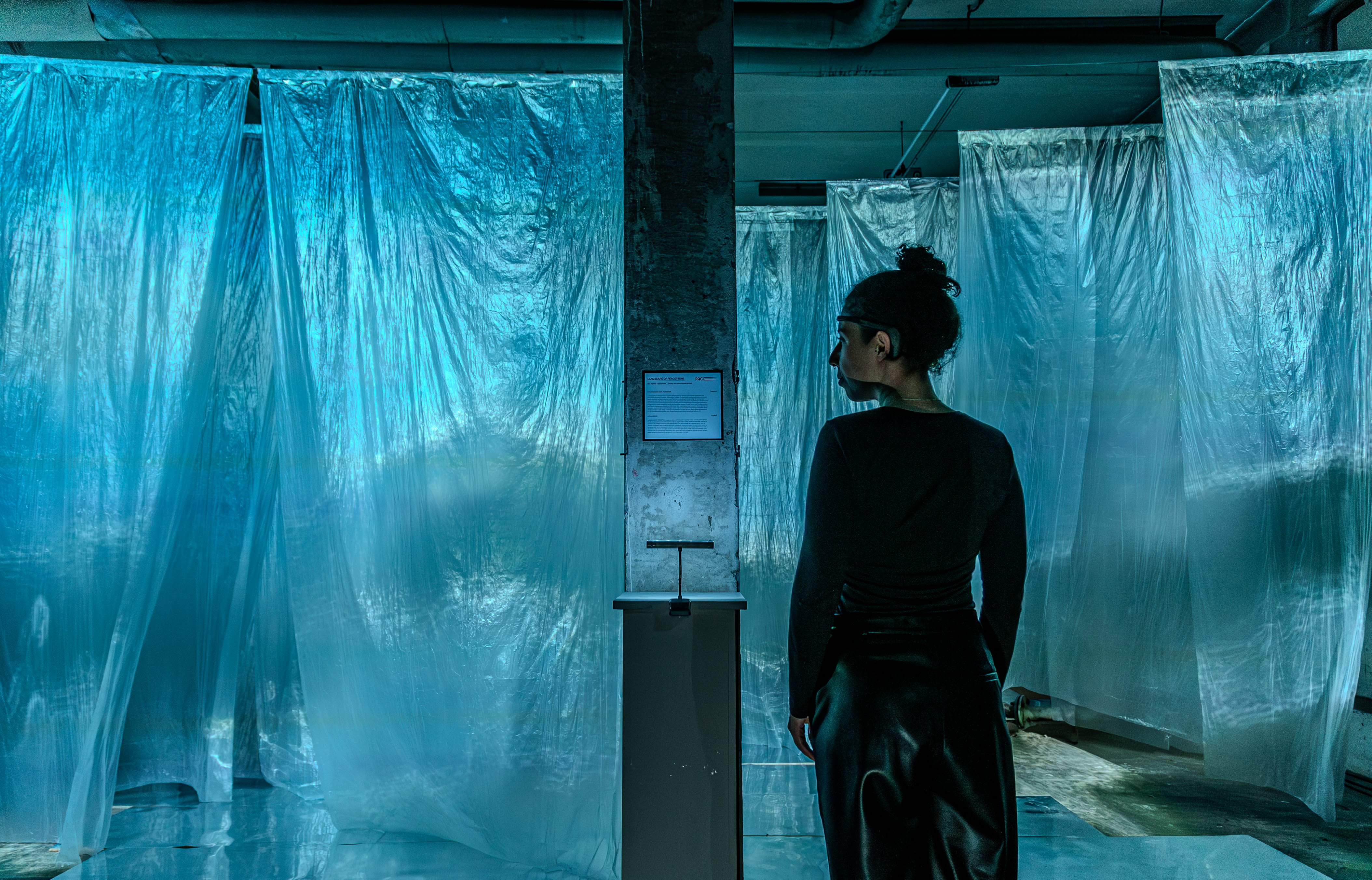 landscape of perception - interactive EEG controlled AI driven immersive installation