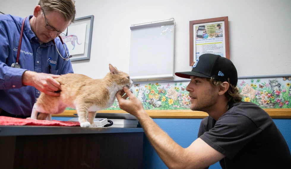 Creating Stronger Connections For Extraordinary Veterinary Care | PetDesk