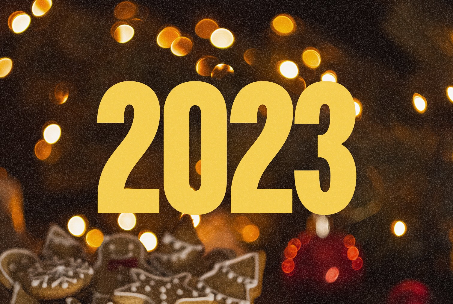 2023 IN REVIEW