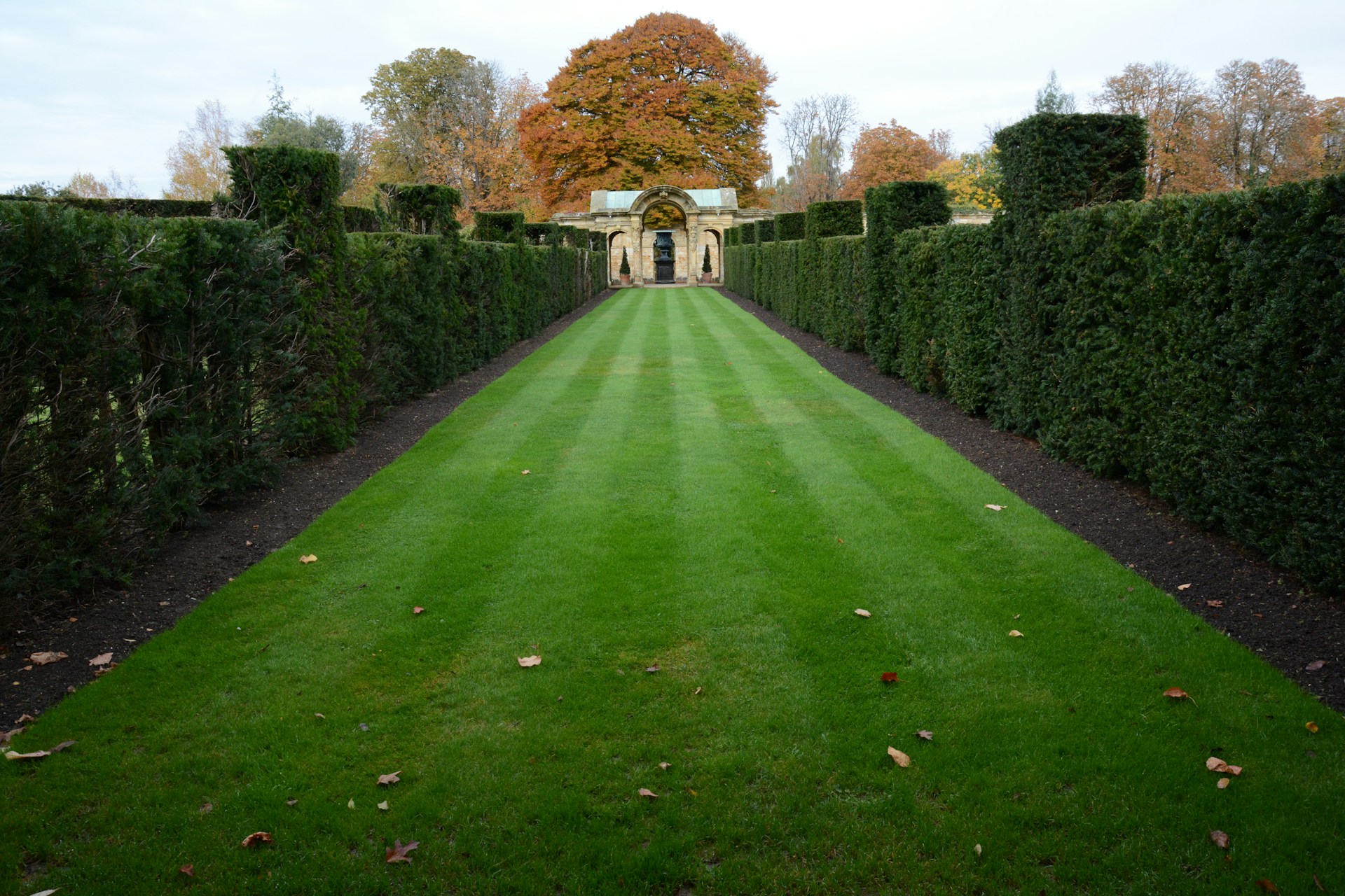 a picture of a lawn