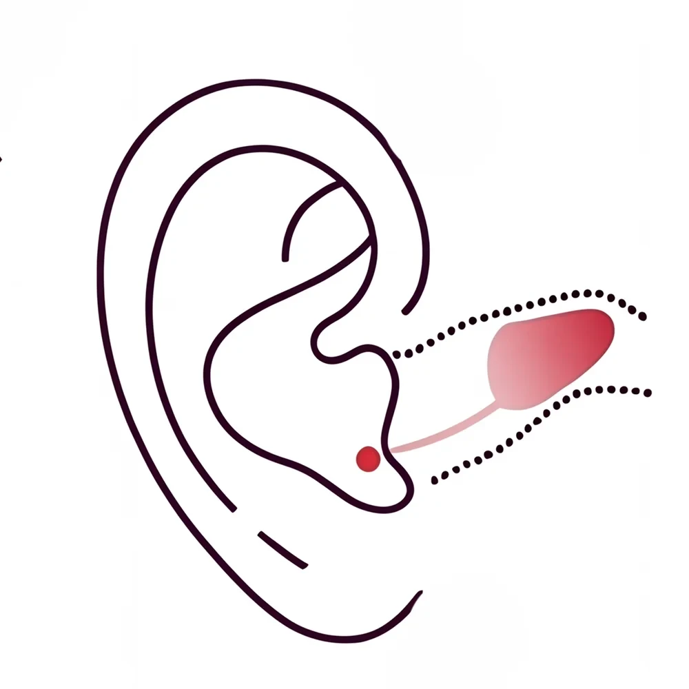 Close-up of a human ear, showing the outer ear structure and skin texture.