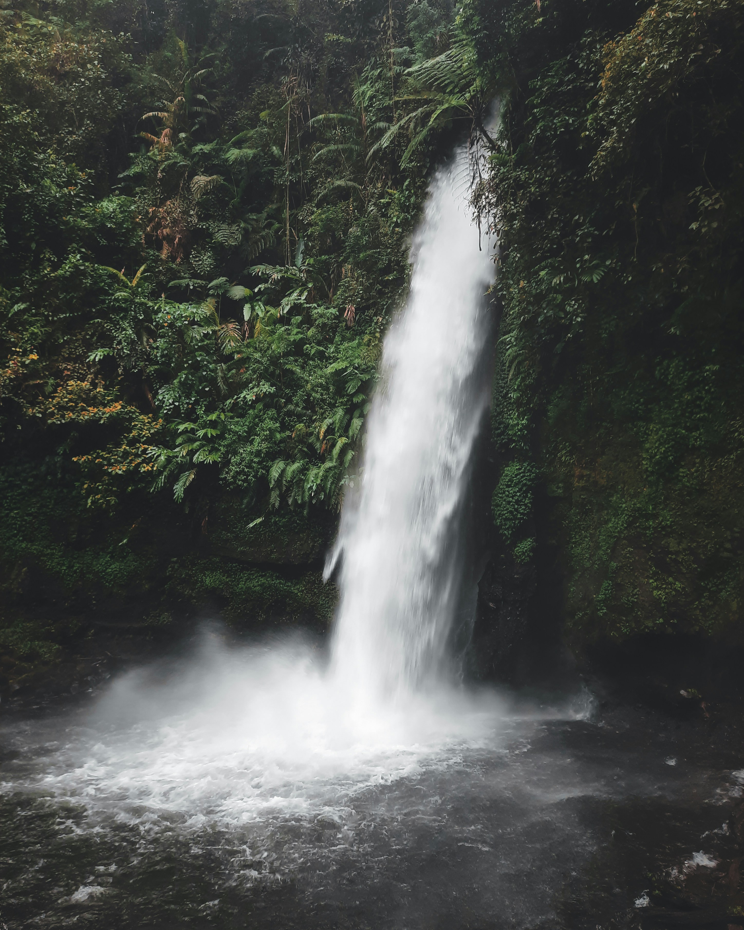 waterfalls in the middle of the forest