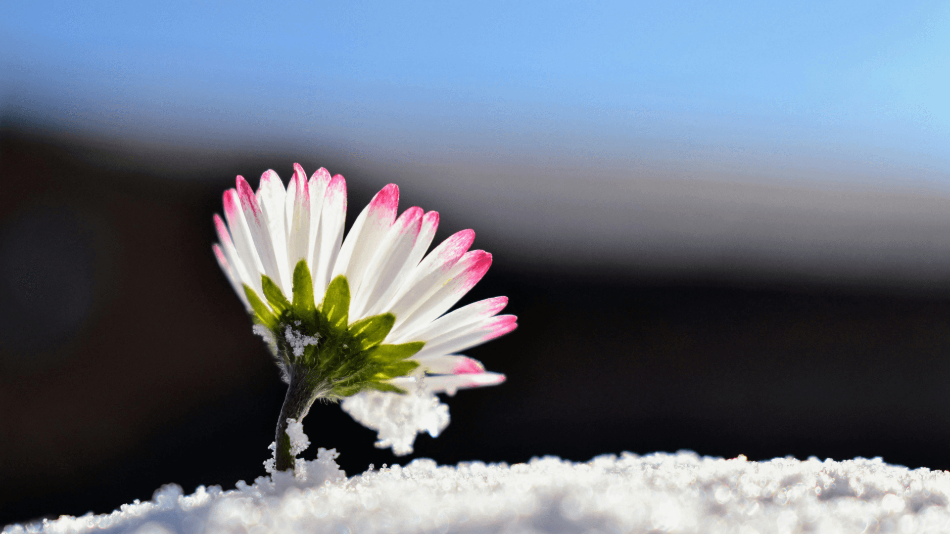 A winding road cuts through rocky terrain, surrounded by patches of green grass and illuminated by sunlight.