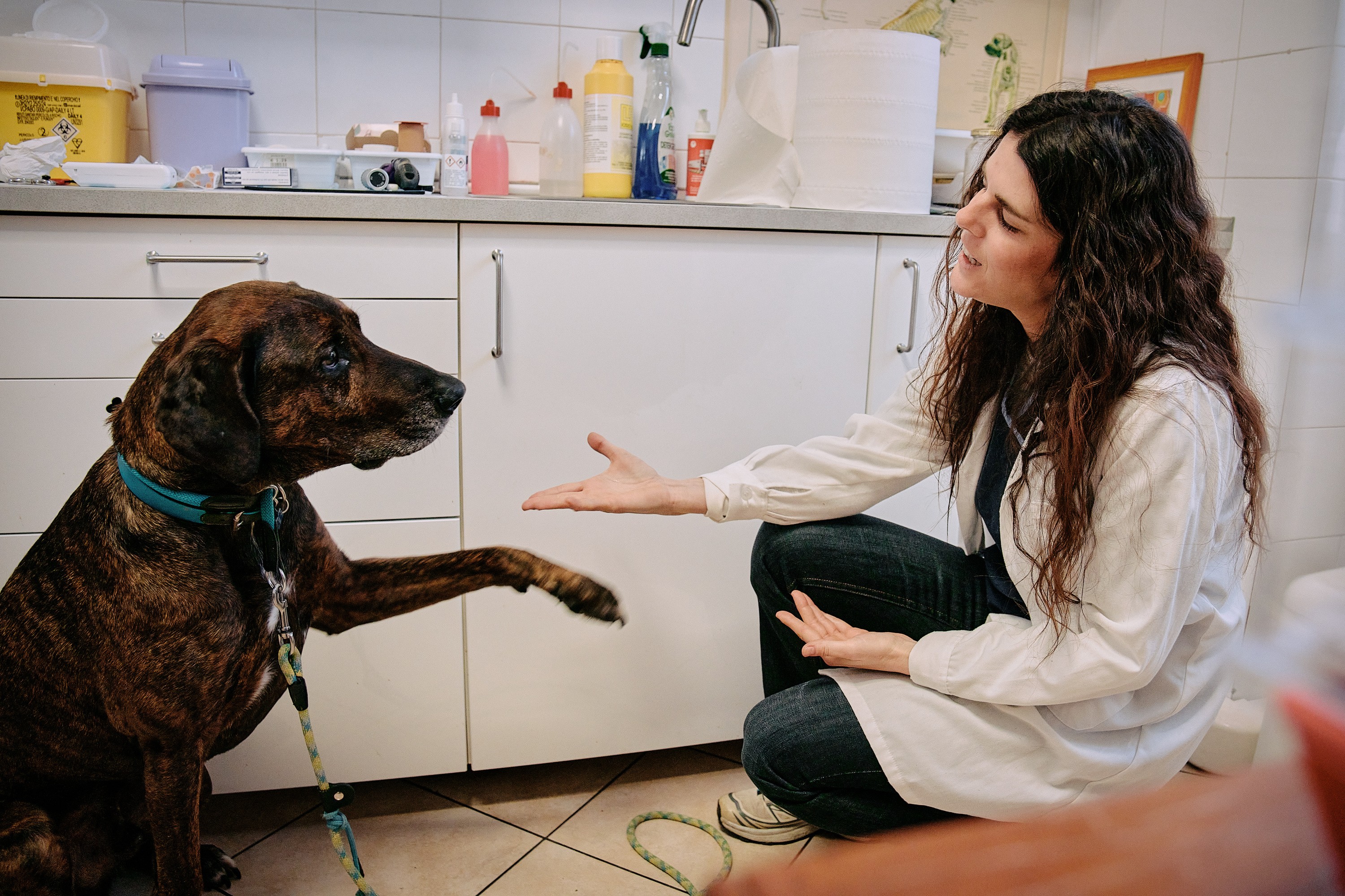 Bellevoire Montmartre