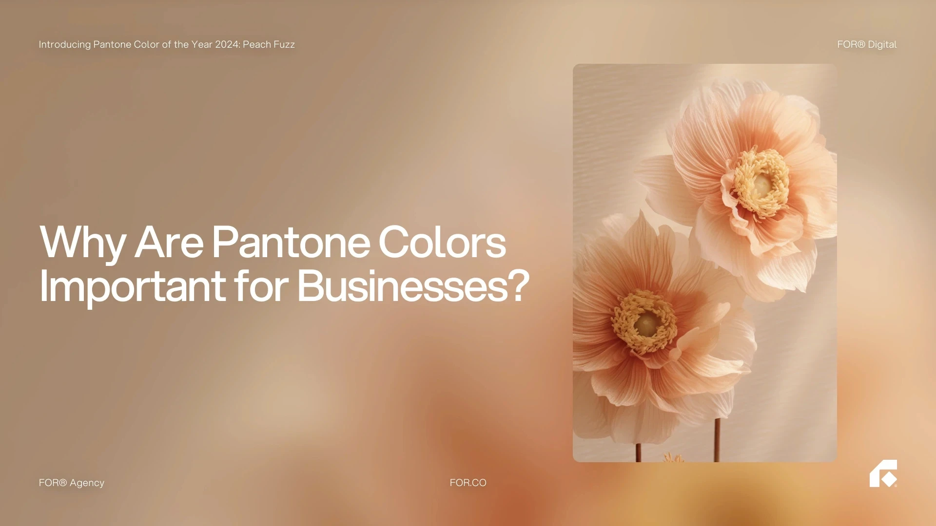 Why are Pantone Colours important for business