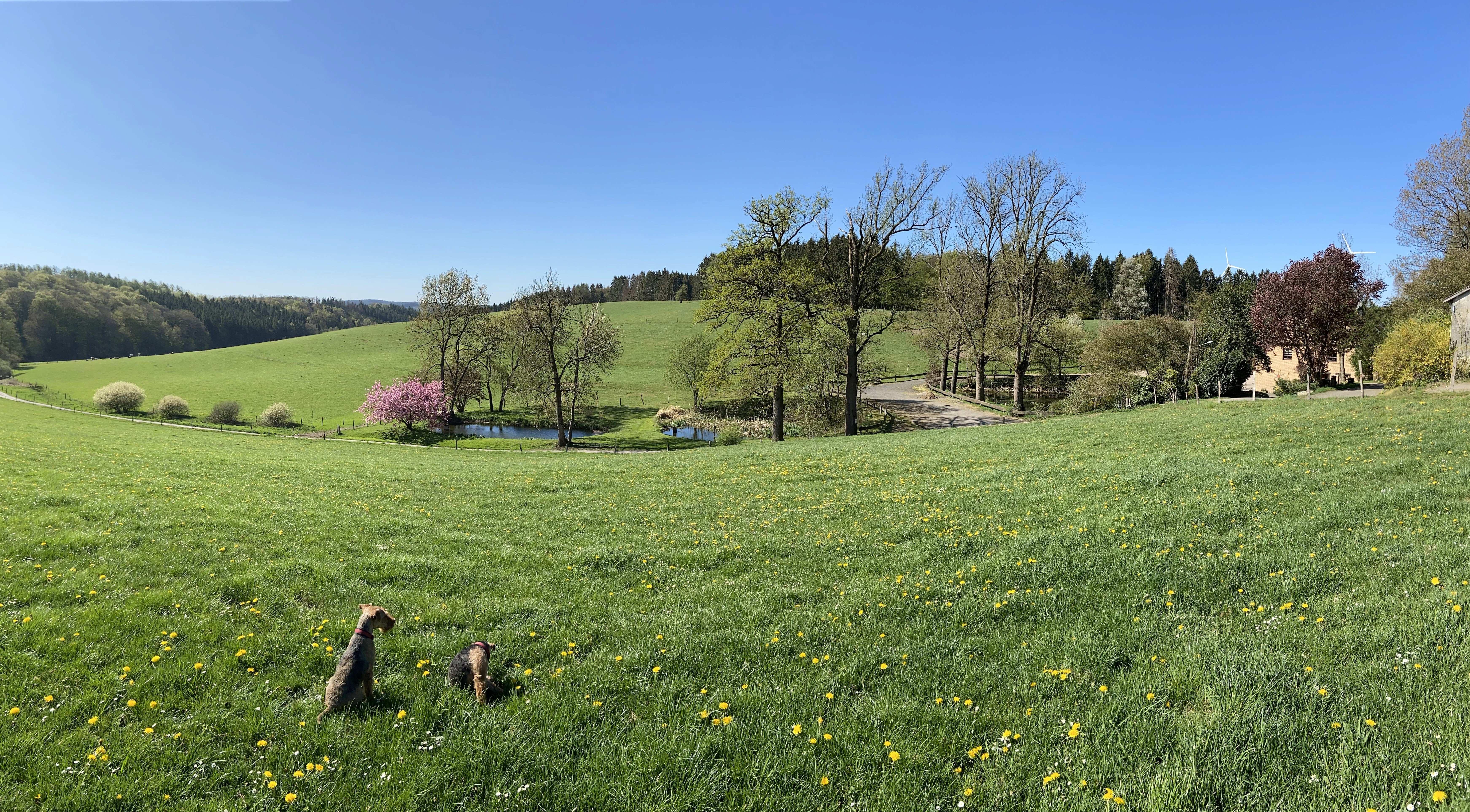 people sitting on chair in front of laptop computers