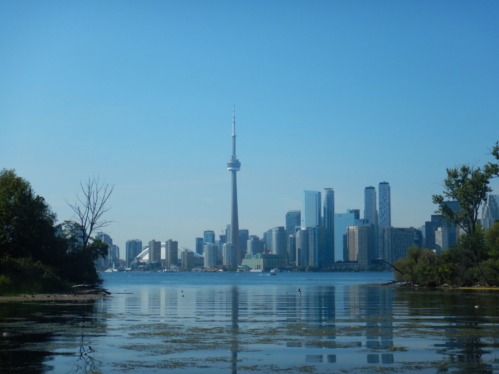 Étudiant profitant d’un parc à Toronto pendant un échange scolaire au Canada, détente et découverte